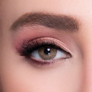 Labella Exclusive Haresiz 3 Aylık Lens CHANEL BROWN3 Aylık Renkli