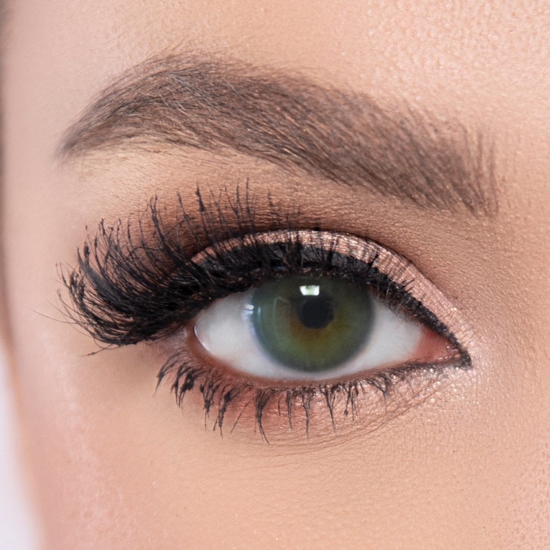 El'Amore Amore 6 Aylık Lens PARADİSE