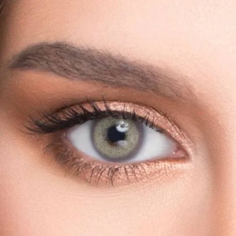 Le Reve Pixie  1 Yıllık Lens GRAY
