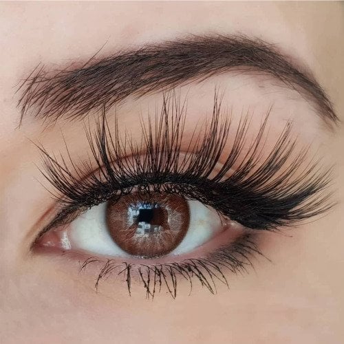 Fx Eyes Aurora 1 Yıllık Lens ASSOS BROWN