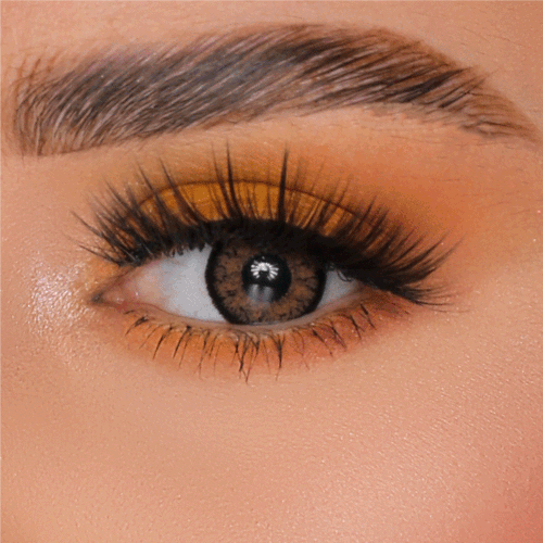 Fx Eyes Hawai 1 Yıl Lens BROWN