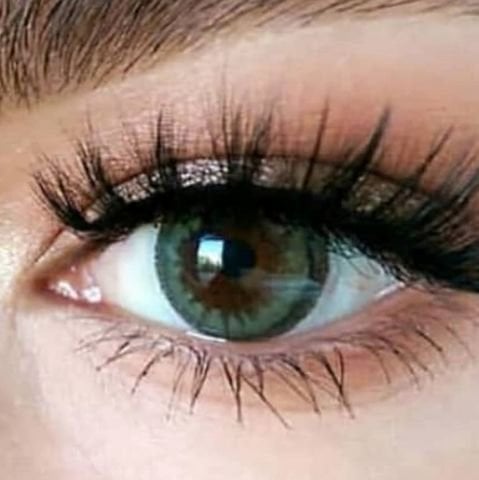 ARCOBALENO 3 AYLIK LENS QUARTRO