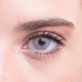 Bollena Haresiz 3 Aylık Lens Silver