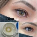 Victoria Diva 6 Aylık Lens DİVA GOLD
