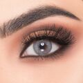 Victoria Maroun 1 Yıllık Lens MAROUN GRAY