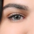 La Rena 1 Yıllık Lens İKONİA GRAY