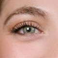 La Rena 1 Yıllık Lens OCTAVİA GRAY