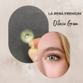 La Rena 1 Yıllık Lens OCTAVİA GREEN