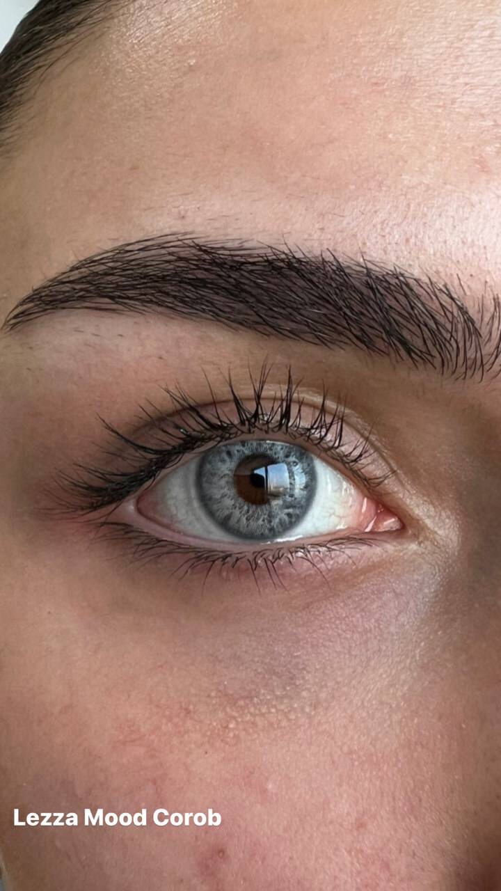 Lezza 6 Aylık Lens Mood Corob