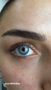 Lezza 6 Aylık Lens Wild Blue