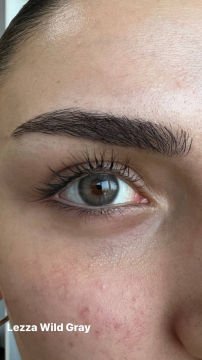 Lezza 6 Aylık Lens Wild Gray