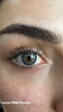 Lezza 6 Aylık Lens Wild Mocha