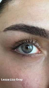 Lezza 6 Aylık Lens Lizz Gray