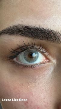 Lezza 1 Yıllık Lens Lizz Rose