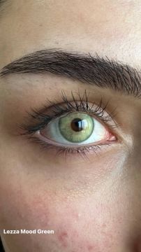 Lezza 1 Yıllık Lens Mood  Green
