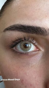 Lezza 1 Yıllık Lens Mood Onyx