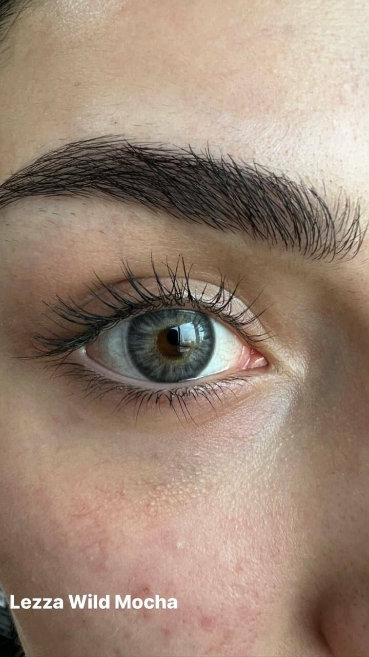 Lezza 1 Yıllık Lens Wild Mocha