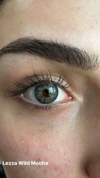 Lezza 1 Yıllık Lens Wild Mocha