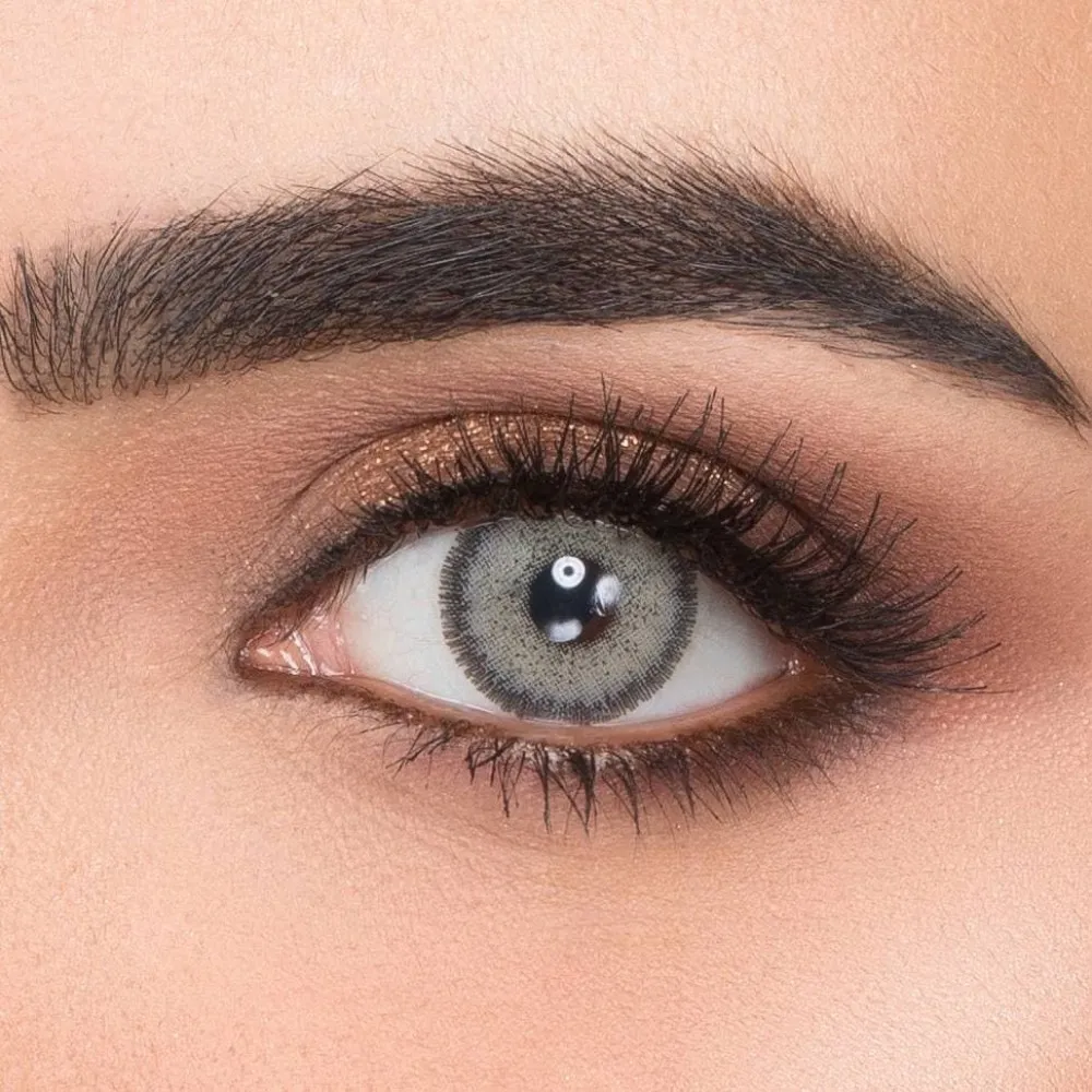 Victoria Desi 6 Aylık Lens DESİ GRAY