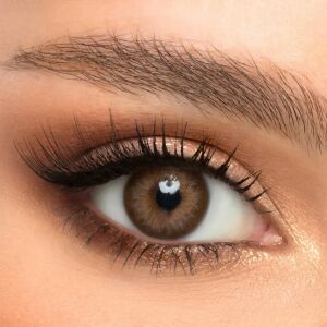 Victoria Diva 1 Yıllık Lens DİVA BROWN