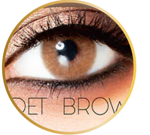 Lorans Lens 1 Yıllık Lens KADET BROWN