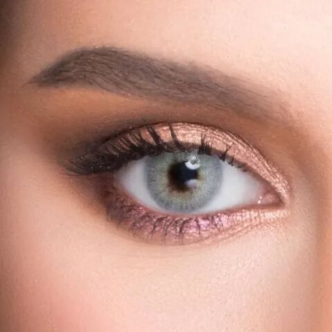 Le Reve Aloe 1 Yıllık Lens ALOE GRAY