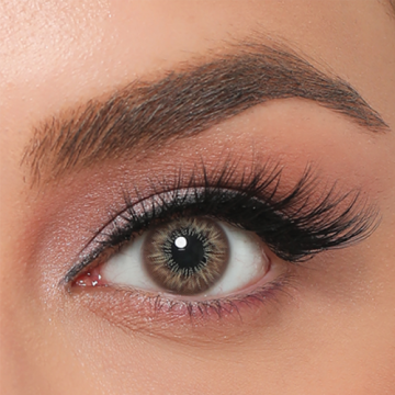 Premium Hazel
